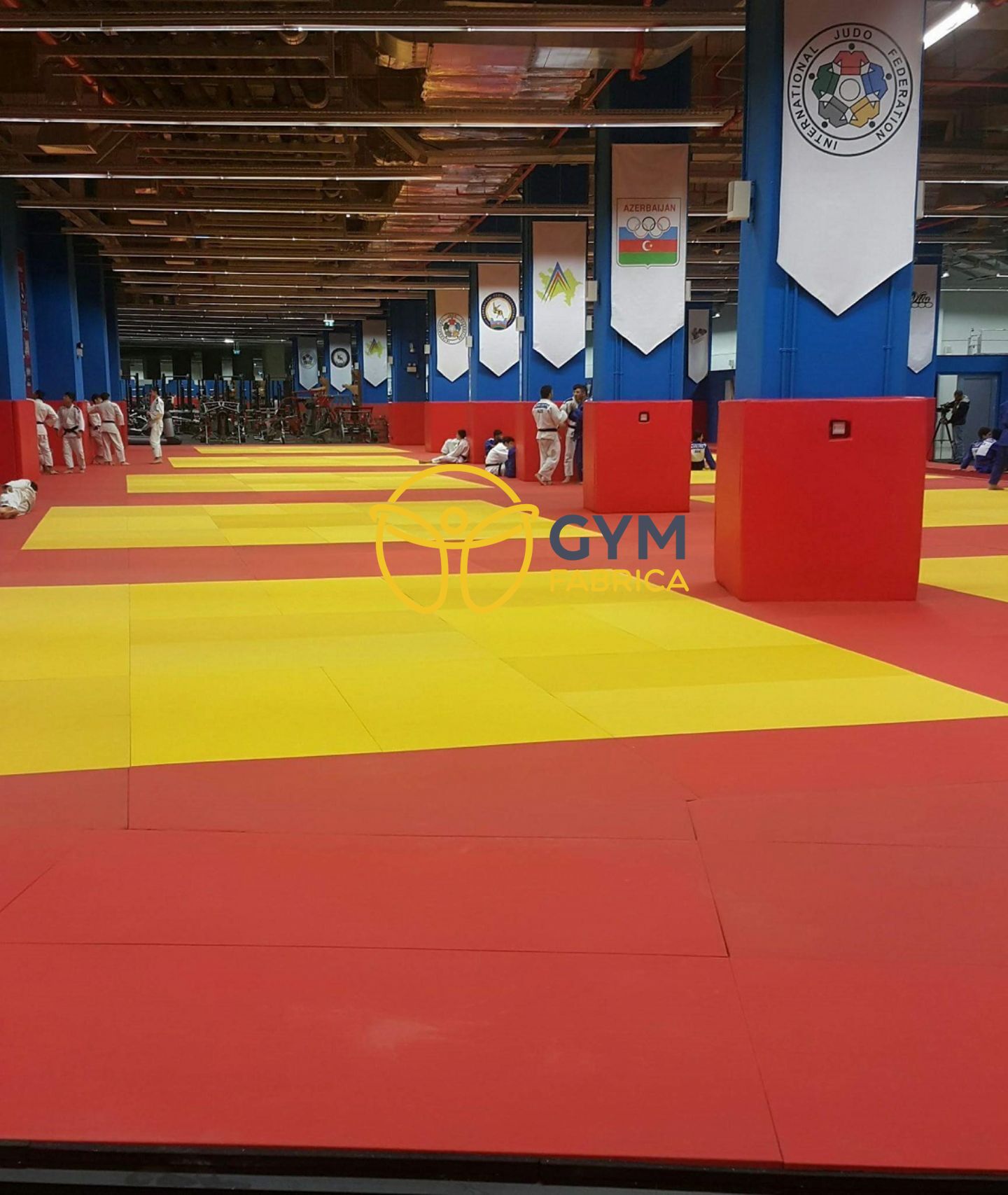 100x200x4 Cm Judo Minderi Federasyon Standartlarında